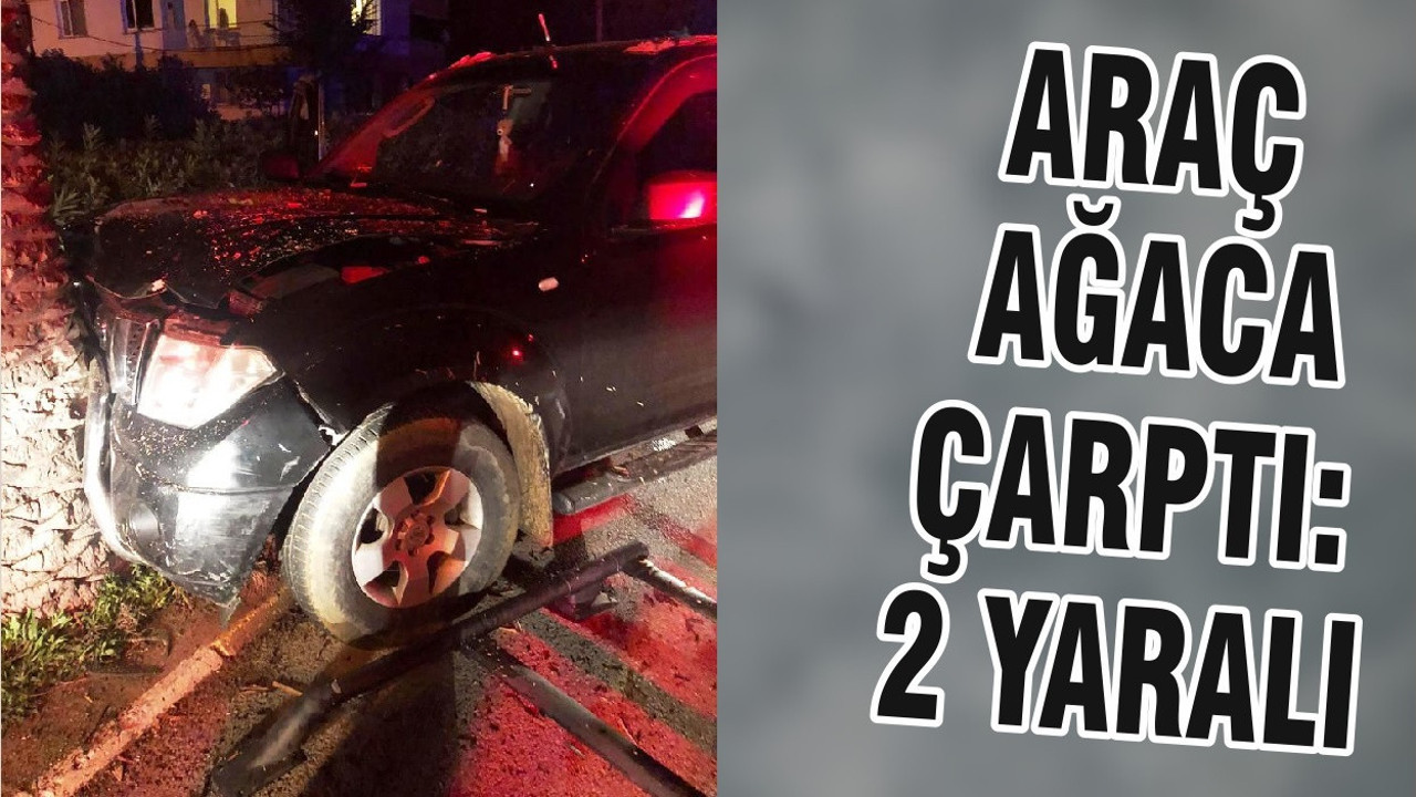 ARAÇ AĞACA ÇARPTI: 2 YARALI