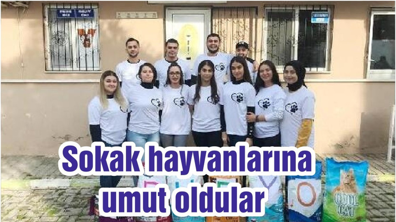 Sokak hayvanlarına umut oldular