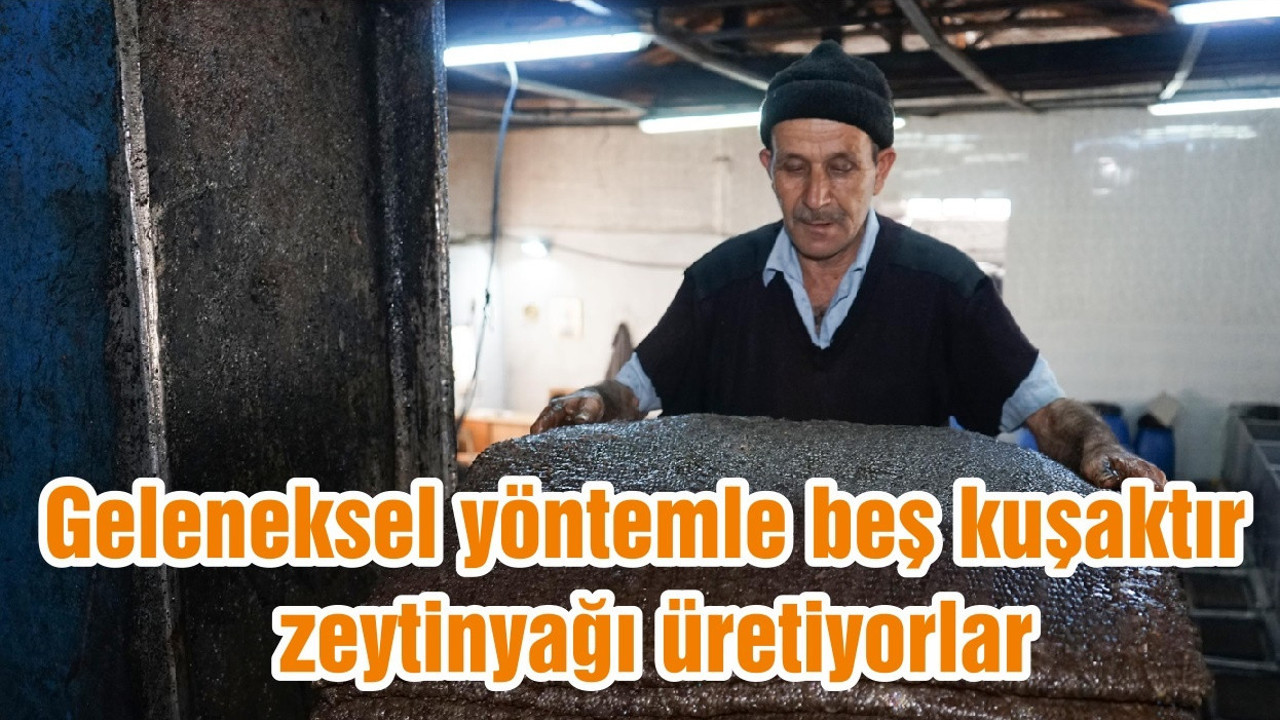 Geleneksel yöntemle beş kuşaktır zeytinyağı üretiyorlar