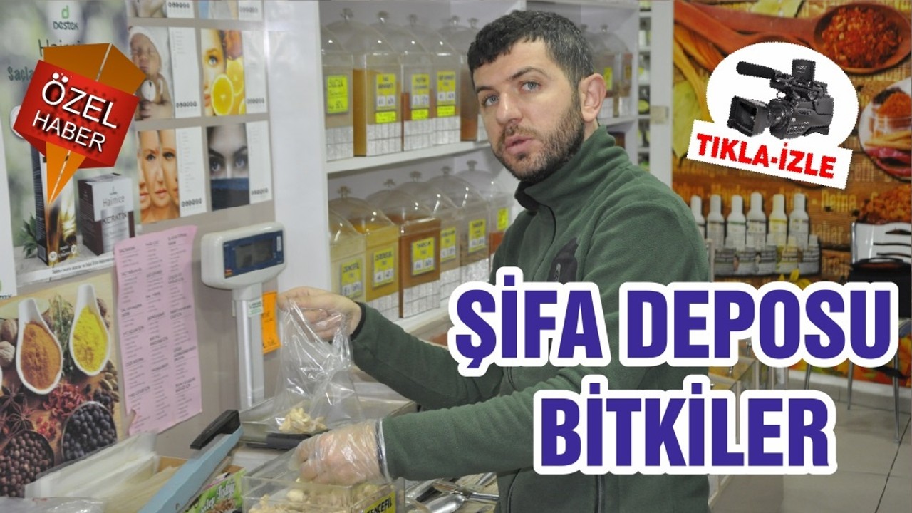 ŞİFA DEPOSU BİTKİLER