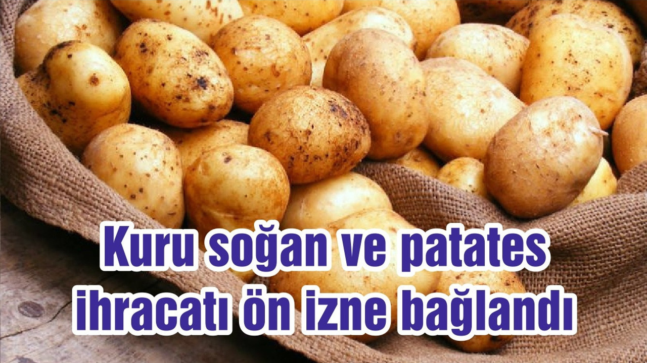 Kuru soğan ve patates ihracatı ön izne bağlandı
