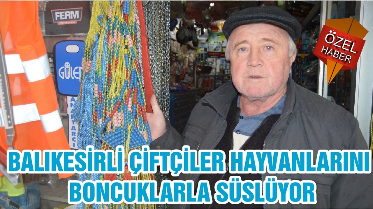 BALIKESİRLİ ÇİFTÇİLER HAYVANLARINI BONCUKLARLA SÜSLÜYOR