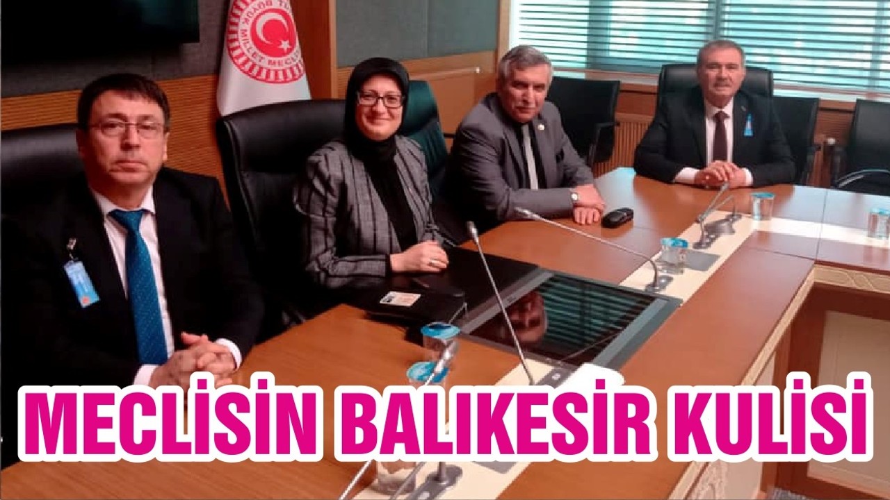 MECLİSİN BALIKESİR KULİSİ