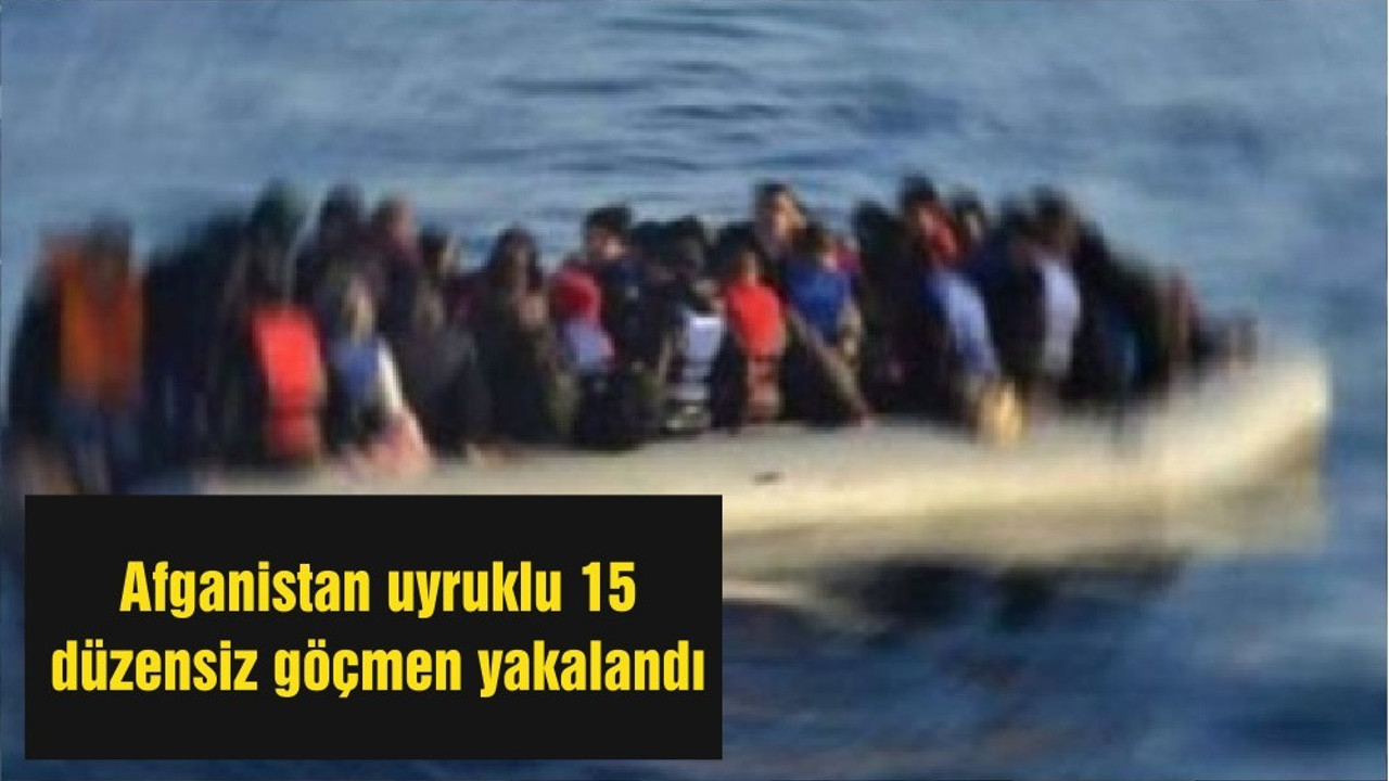 Balıkesir'de Afganistan uyruklu 15 düzensiz göçmen yakalandı