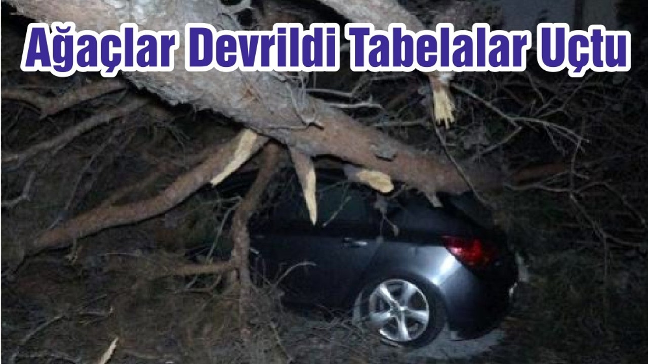 Ağaçlar Devrildi Tabelalar Uçtu
