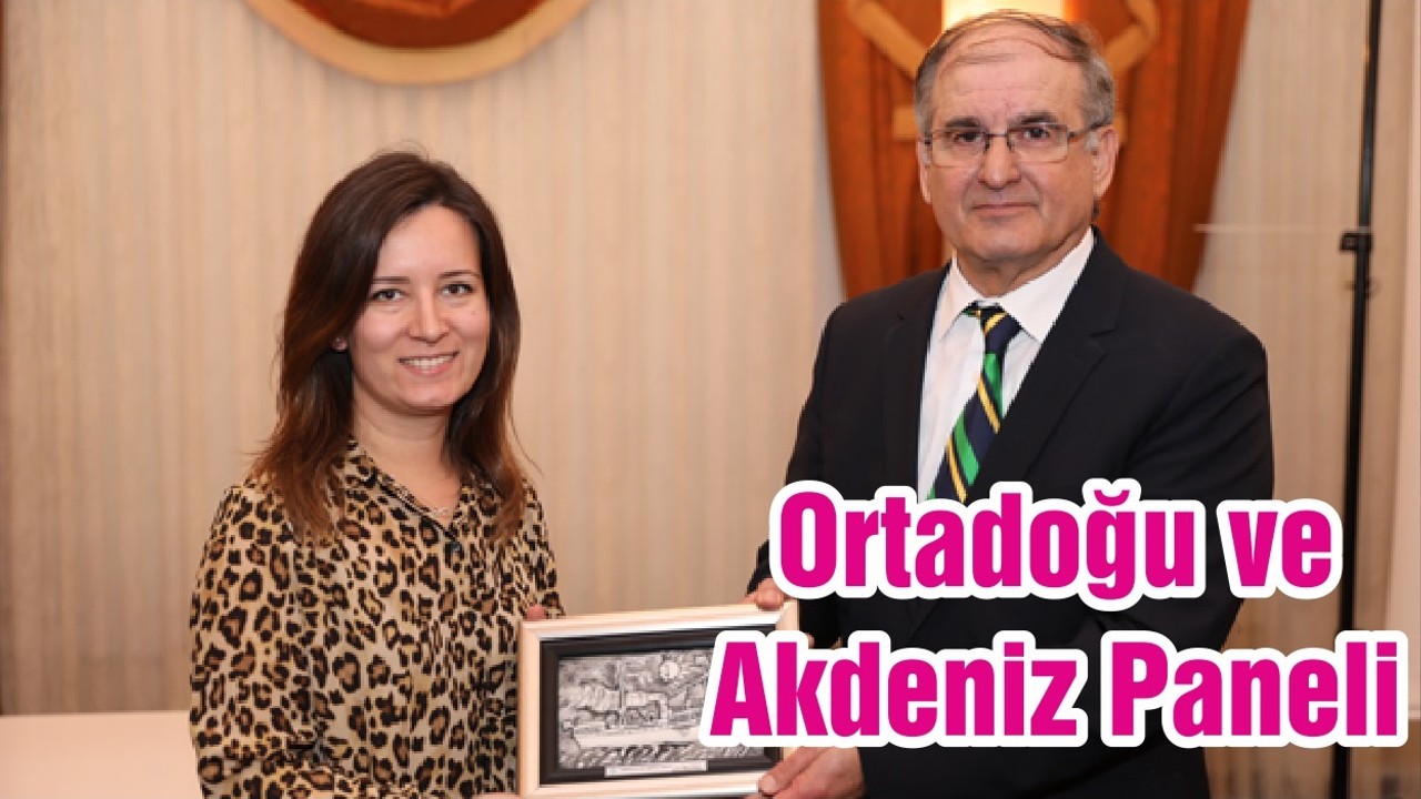 Ortadoğu ve Akdeniz Paneli
