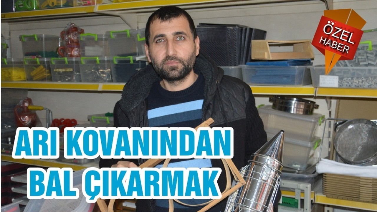 ARI KOVANINDAN BAL ÇIKARMAK