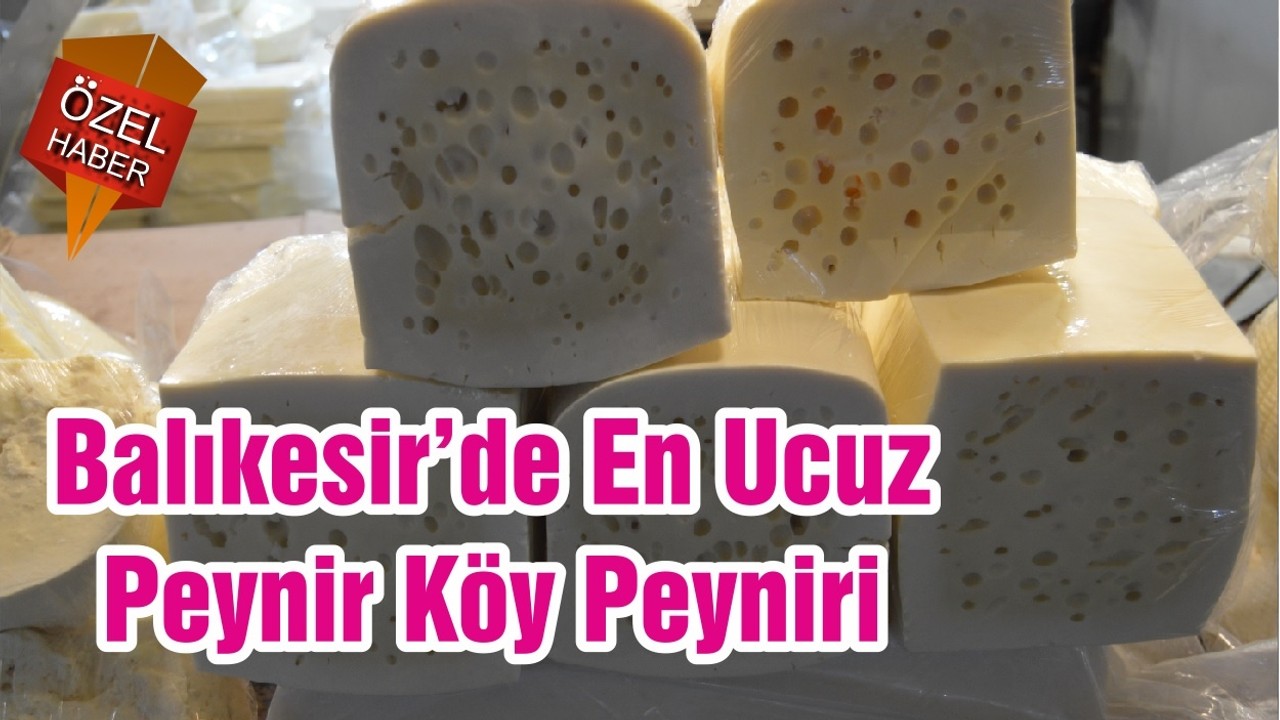 Balıkesir’de En Ucuz Peynir Köy Peyniri