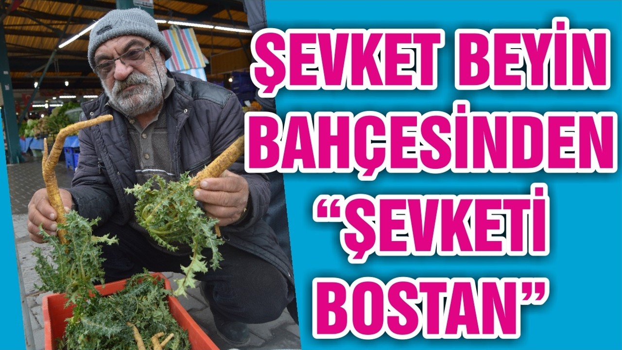 ŞEVKET BEYİN BAHÇESİNDEN “ŞEVKETİ BOSTAN”