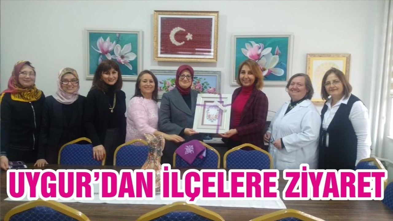 UYGUR’DAN İLÇELERE ZİYARET
