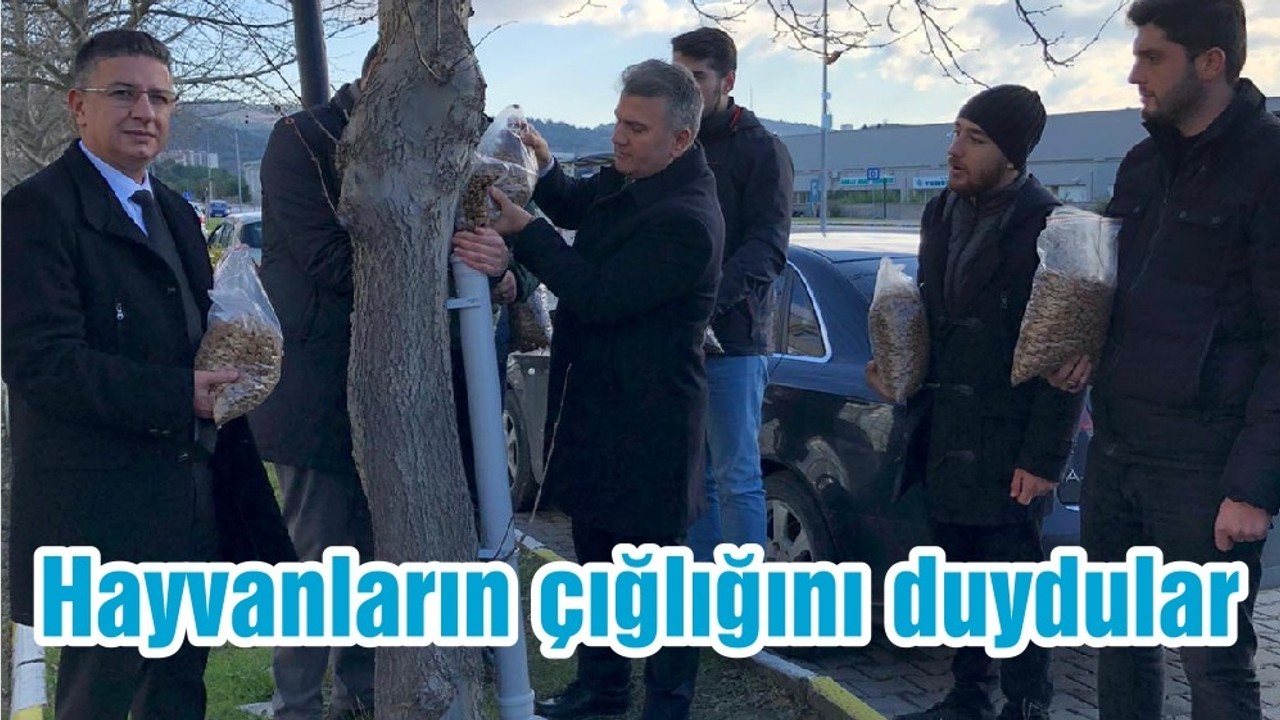 Hayvanların çığlığını duydular
