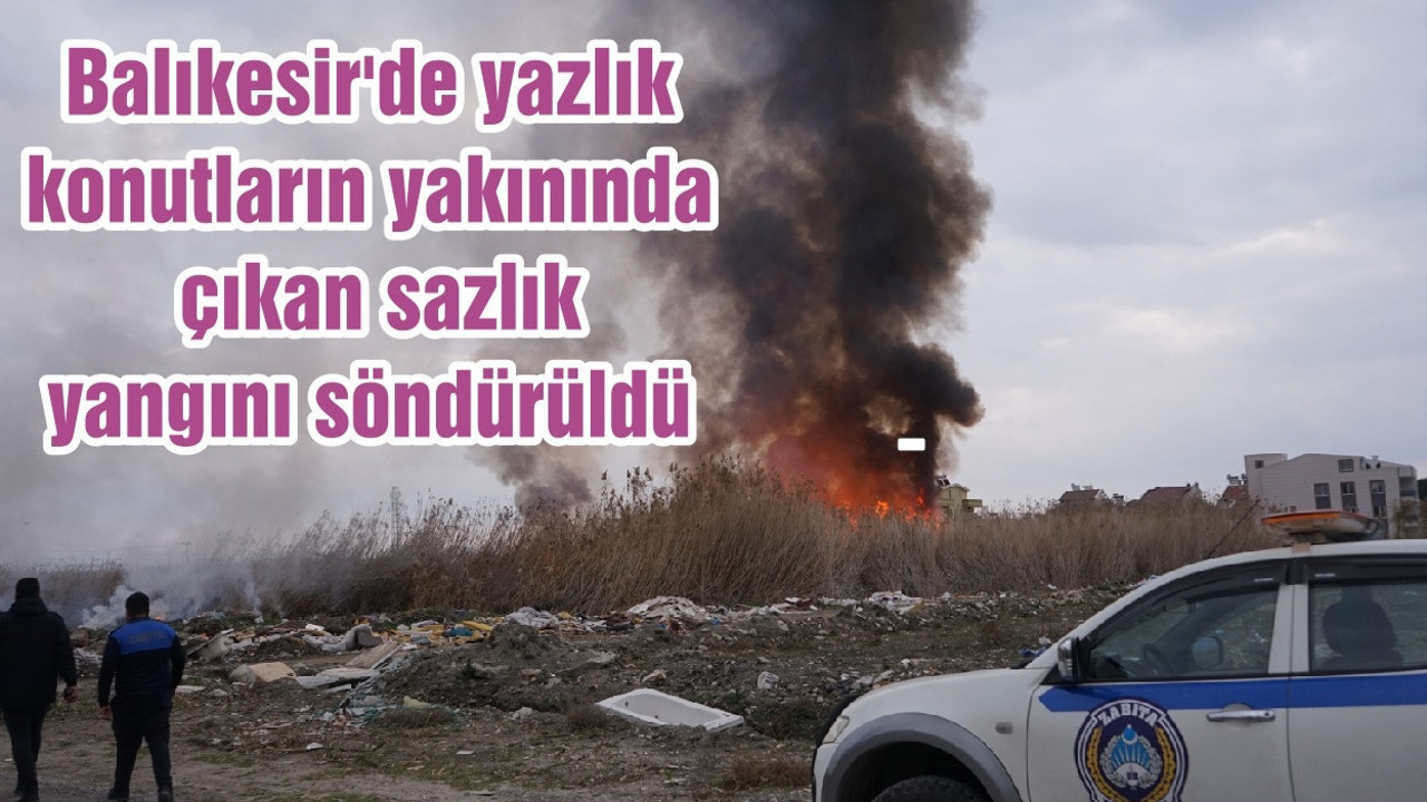 Balıkesir'de yazlık konutların yakınında çıkan sazlık yangını söndürüldü