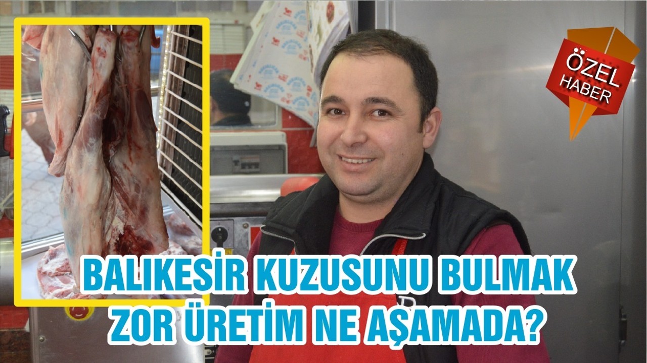 BALIKESİR KUZUSUNU BULMAK ZOR ÜRETİM NE AŞAMADA?