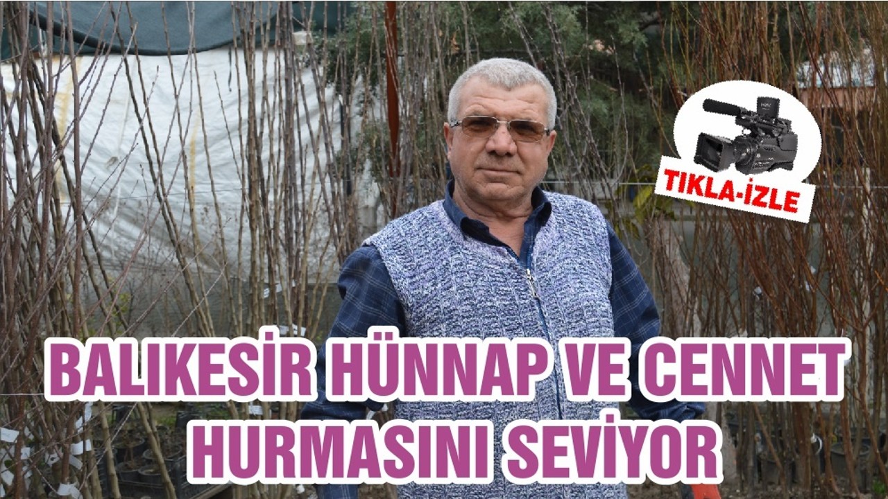 BALIKESİR HÜNNAP VE CENNET HURMASINI SEVİYOR