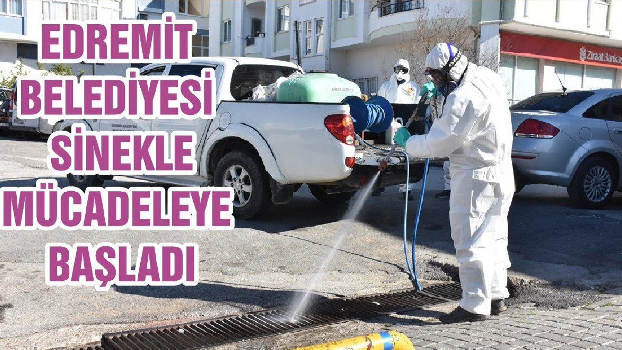 EDREMİT BELEDİYESİ SİNEKLE MÜCADELEYE BAŞLADI