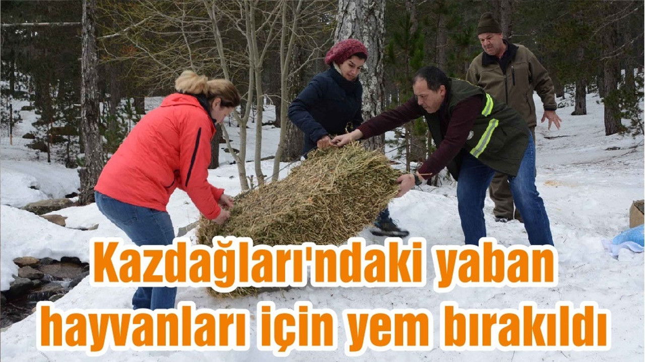 Kazdağları'ndaki yaban hayvanları için yem bırakıldı