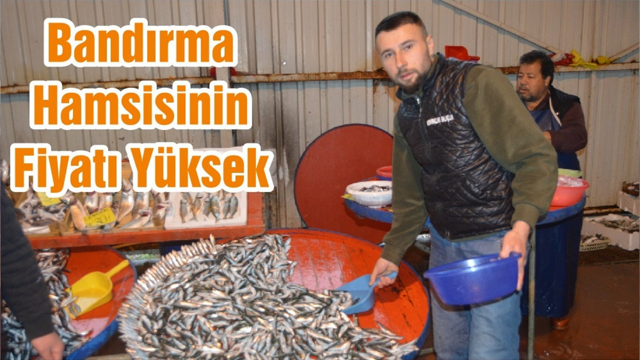 Bandırma Hamsisinin Fiyatı Yüksek