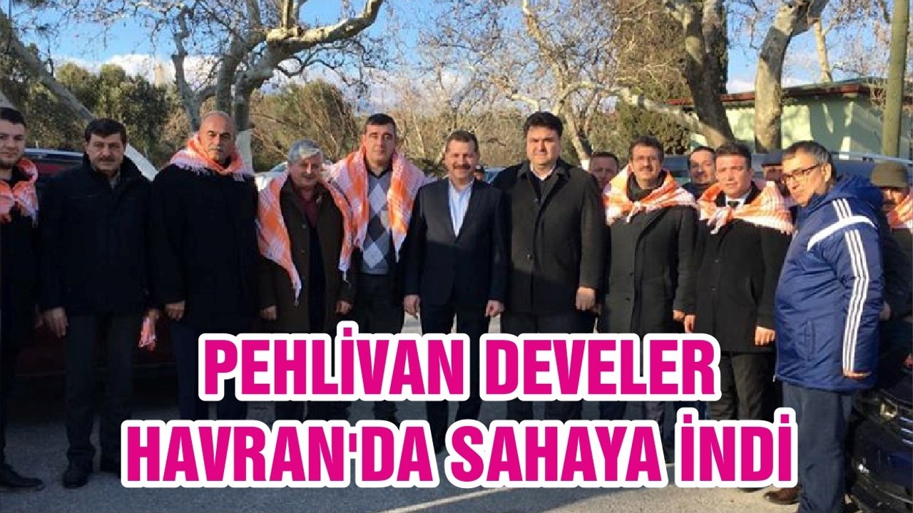 PEHLİVAN DEVELER HAVRAN'DA SAHAYA İNDİ