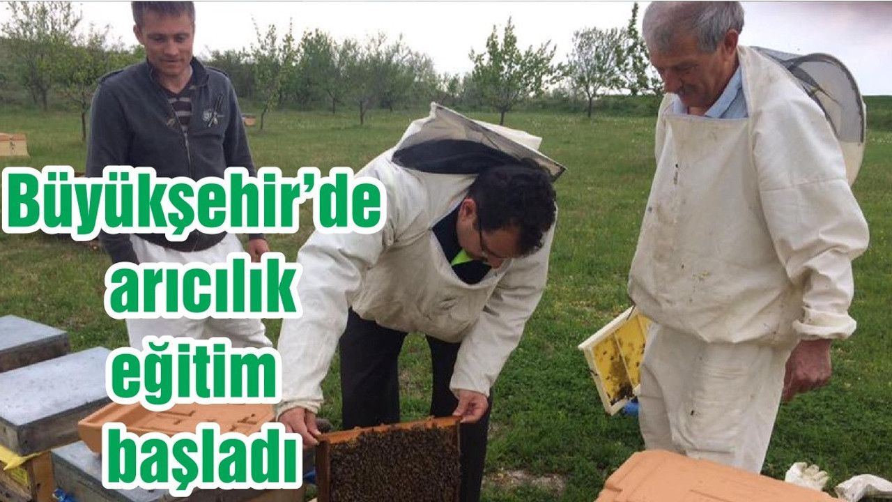 Büyükşehir’de arıcılık eğitim başladı