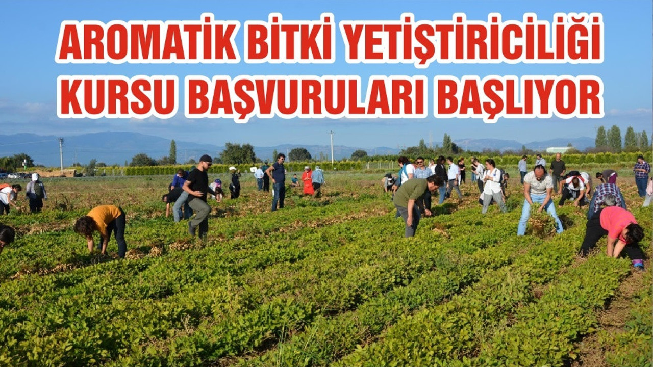 AROMATİK BİTKİ YETİŞTİRİCİLİĞİ KURSU BAŞVURULARI BAŞLIYOR