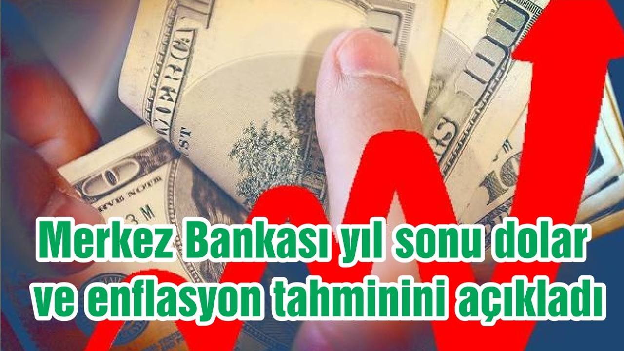 Merkez Bankası yıl sonu dolar ve enflasyon tahminini açıkladı