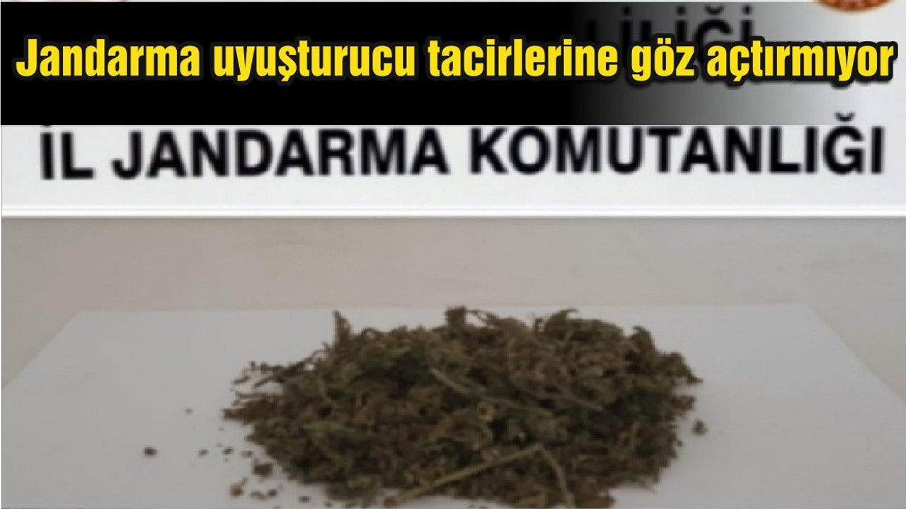 Jandarma uyuşturucu tacirlerine göz açtırmıyor