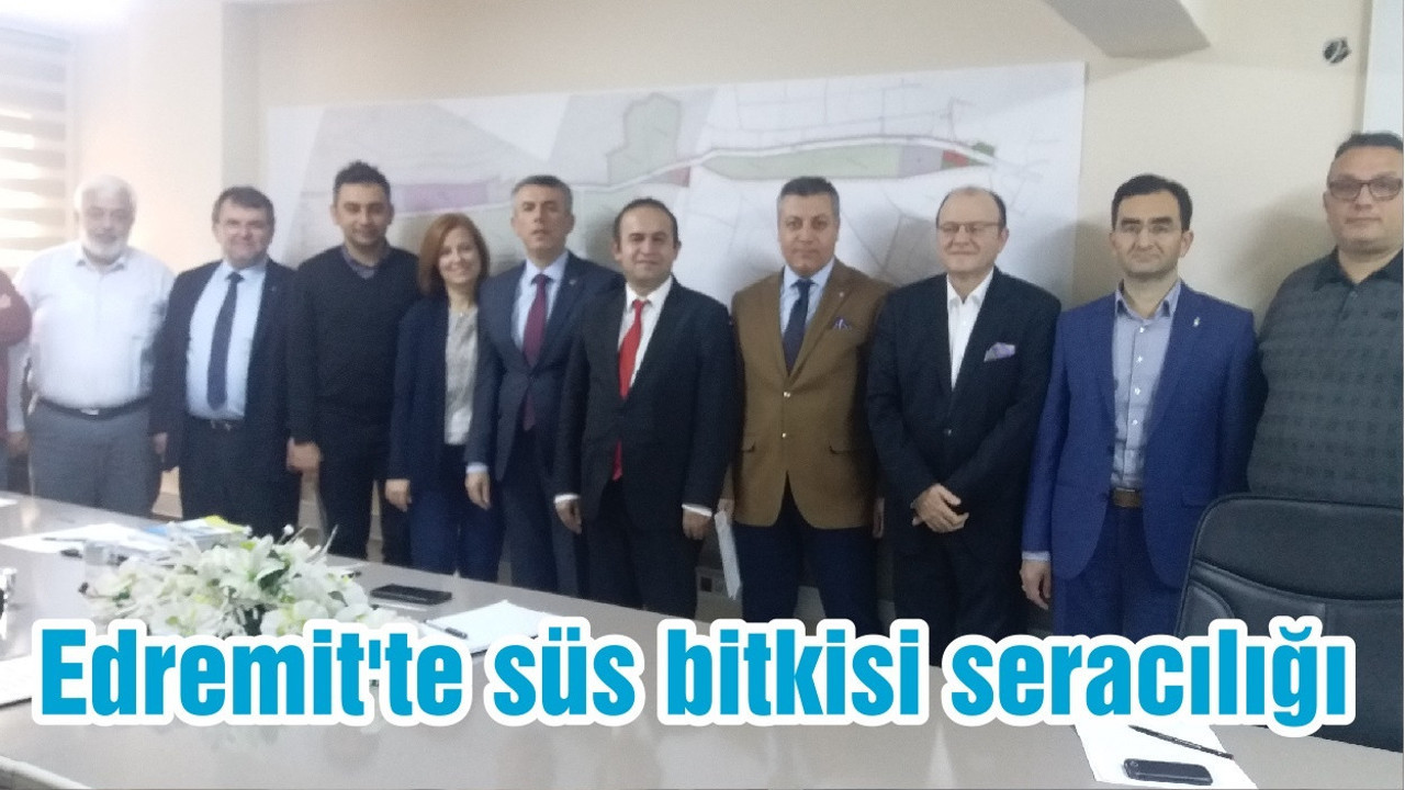 Edremit'te süs bitkisi seracılığı