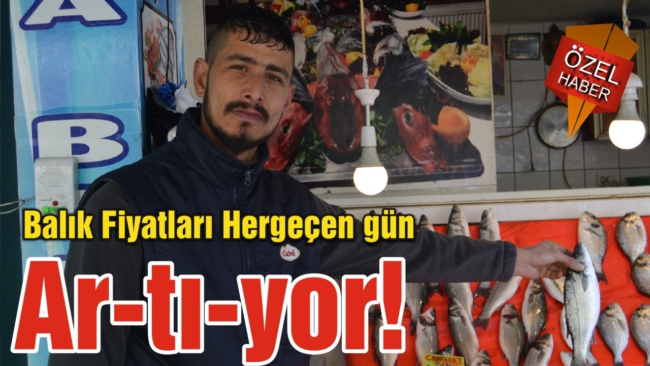 Balık Fiyatları Hergeçen gün Ar-tı-yor!