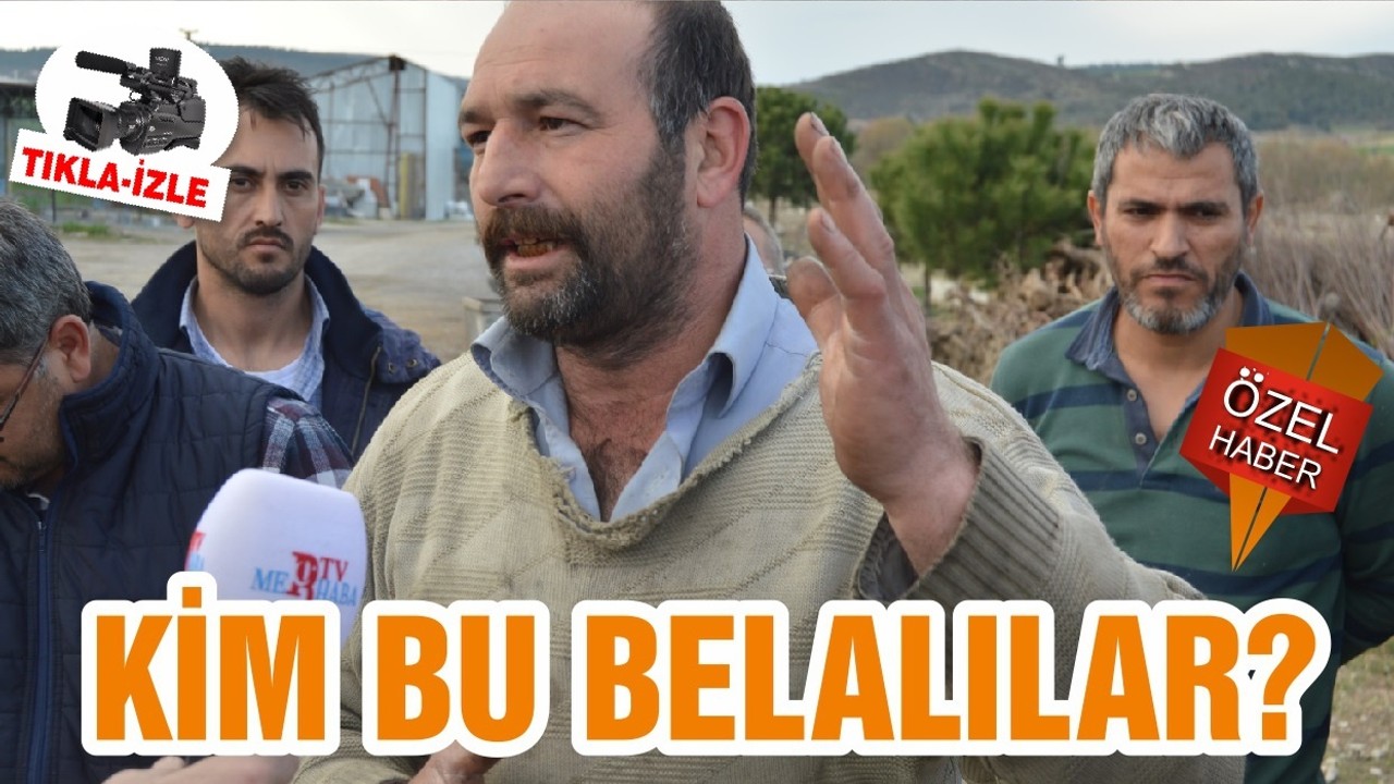 KİM BU BELALILAR?