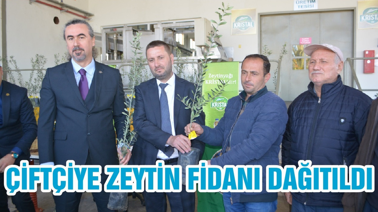 ÇİFTÇİYE ZEYTİN FİDANI DAĞITILDI