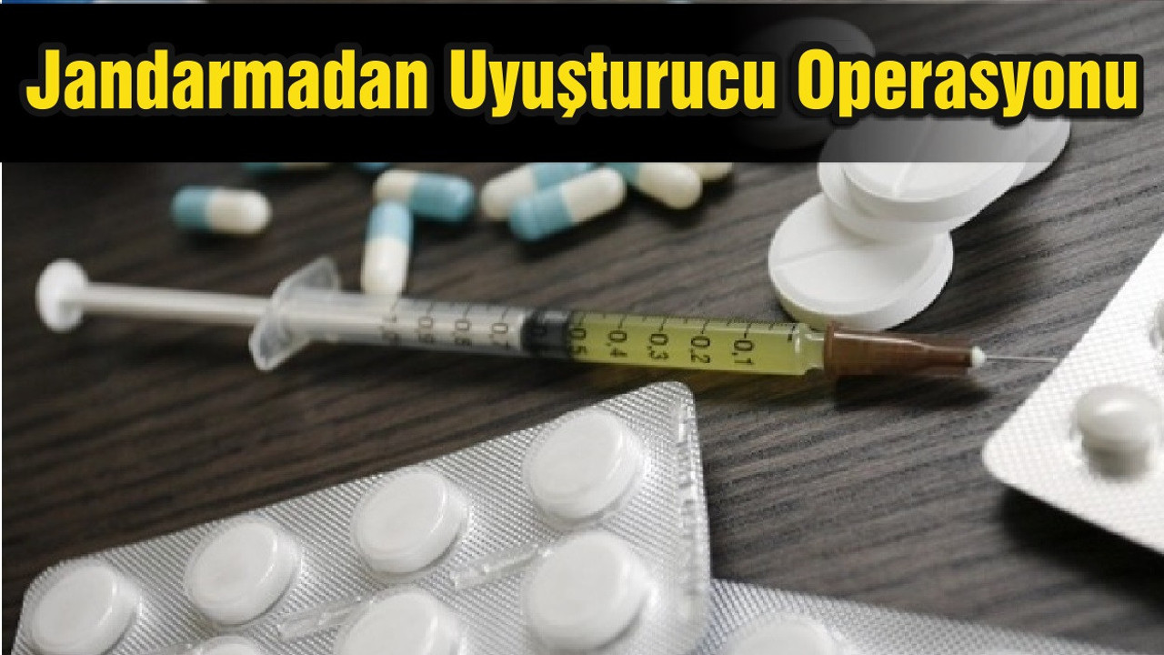 Jandarmadan Uyuşturucu Operasyonu