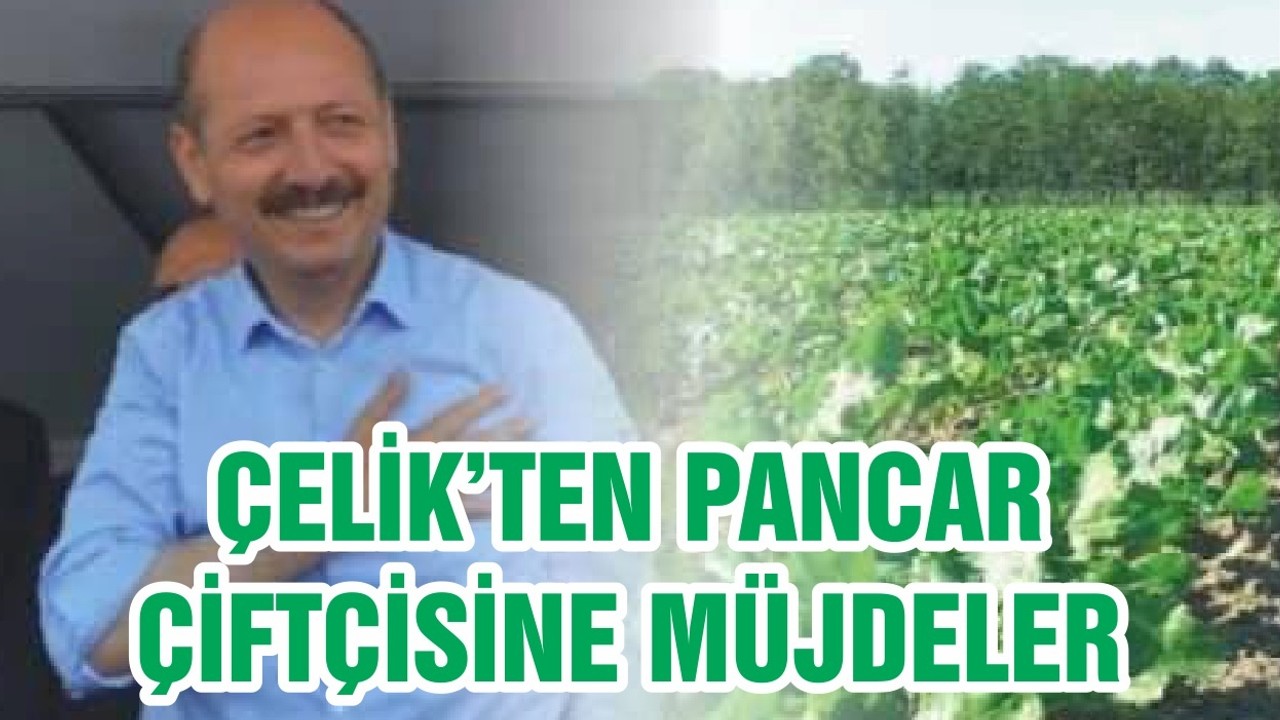 ÇELİK’TEN PANCAR ÇİFTÇİSİNE MÜJDELER