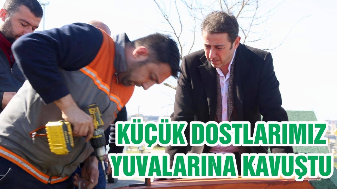 KÜÇÜK DOSTLARIMIZ YUVALARINA KAVUŞTU