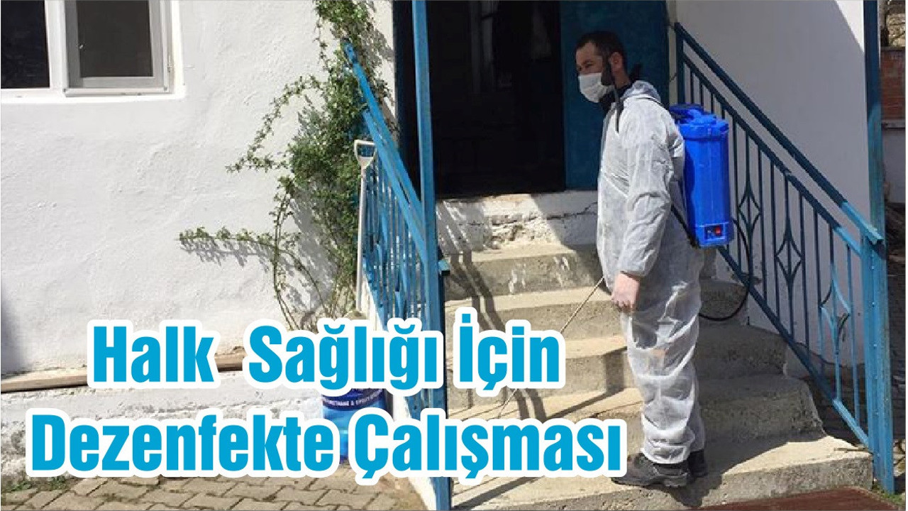 Halk Sağlığı İçin Dezenfekte Çalışması