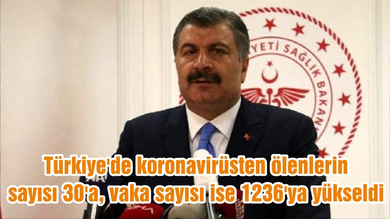 Türkiye'de koronavirüsten ölenlerin sayısı 30'a, vaka sayısı ise 1236'ya yükseldi