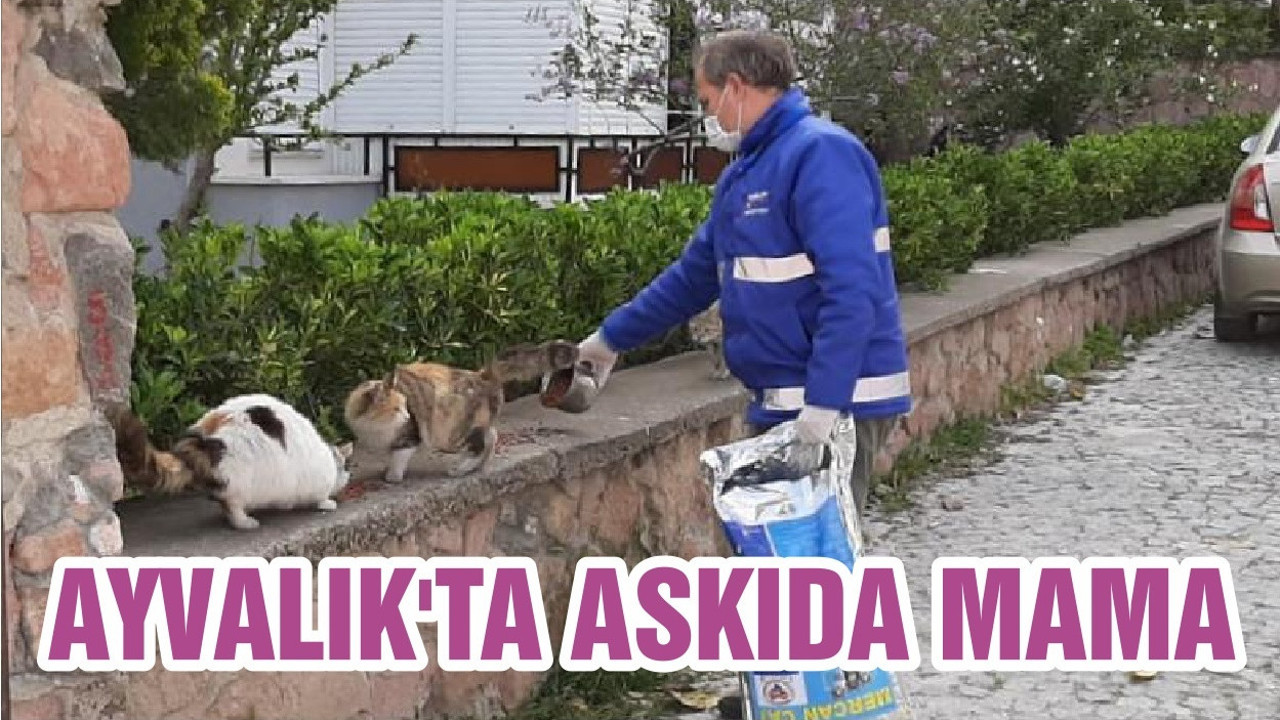 AYVALIK'TA ASKIDA MAMA