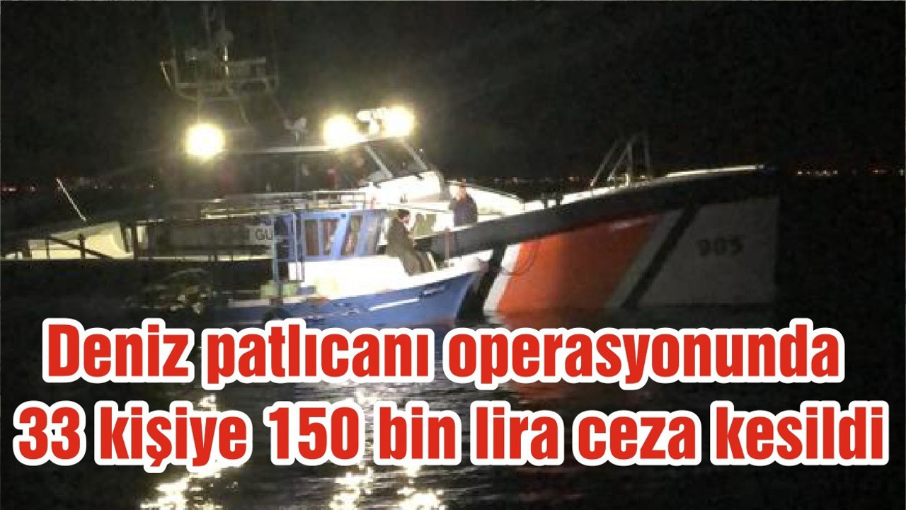 Balıkesir'de deniz patlıcanı operasyonunda 33 kişiye 150 bin lira ceza kesildi