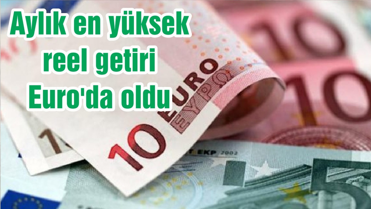 Aylık en yüksek reel getiri Euro'da oldu