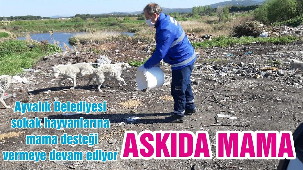ASKIDA MAMA