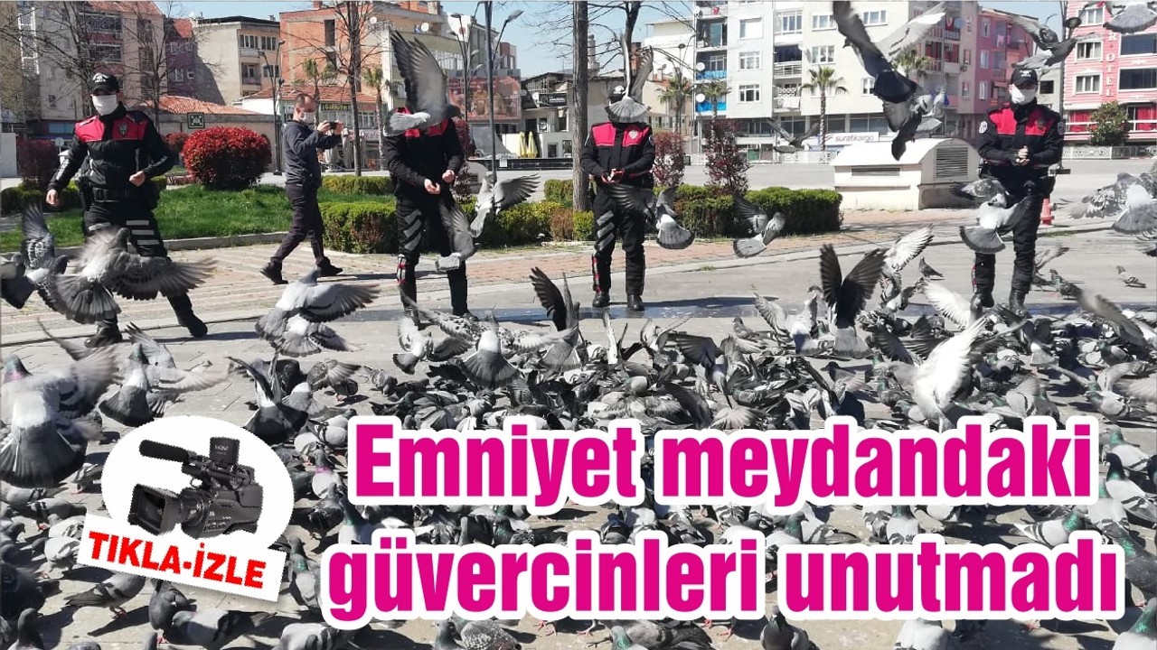 Balıkesir Emniyeti meydandaki güvercinleri unutmadı