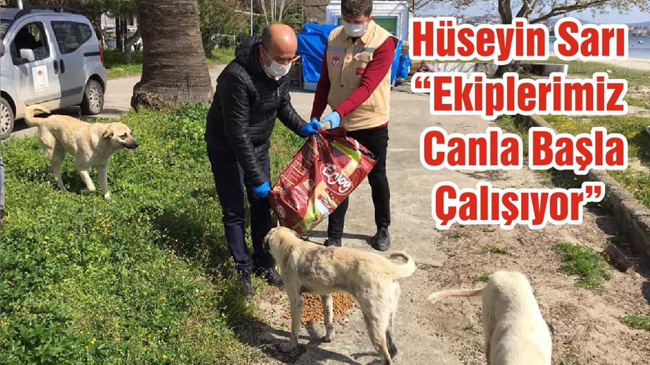 Hüseyin Sarı “Ekiplerimiz Canla Başla Çalışıyor”