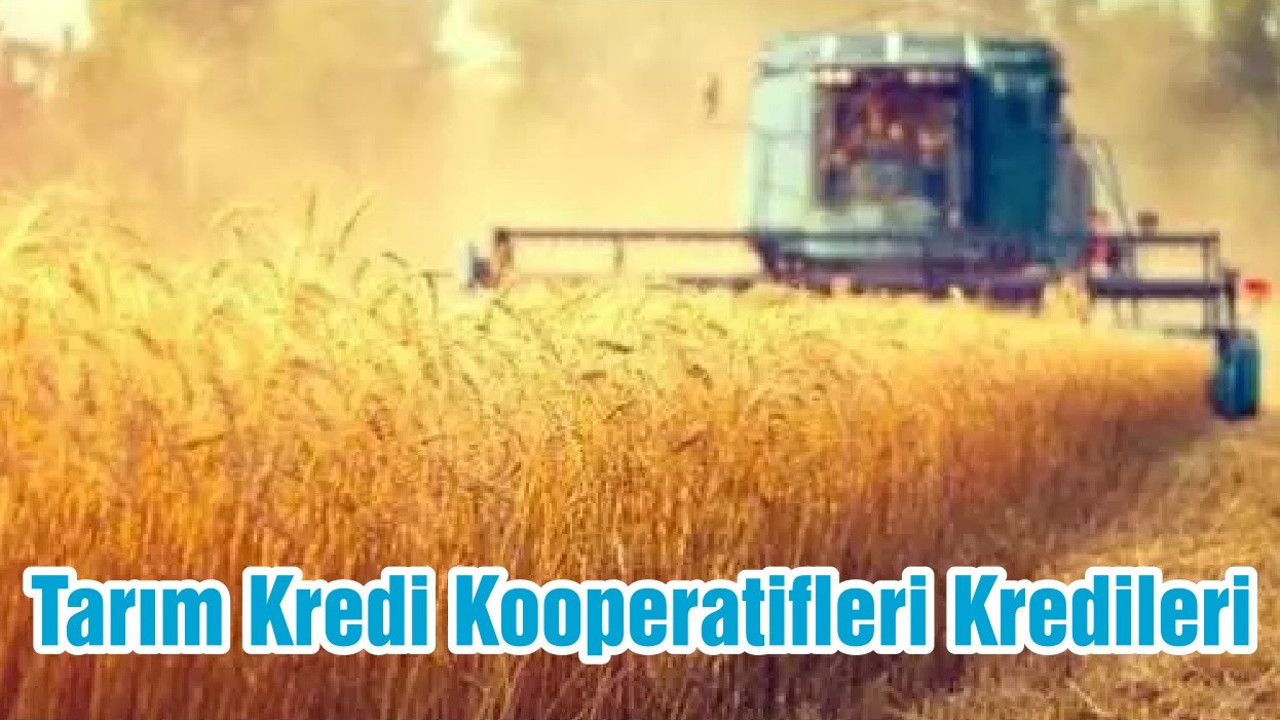 Tarım Kredi Kooperatifleri Kredileri