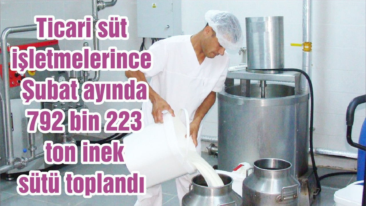 Ticari süt işletmelerince Şubat ayında 792 bin 223 ton inek sütü toplandı