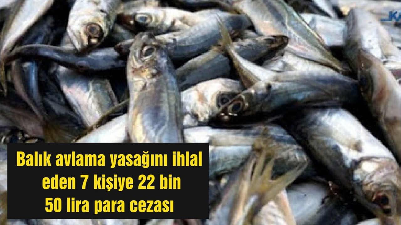 Balık avlama yasağını ihlal eden 7 kişiye 22 bin 50 lira para cezası