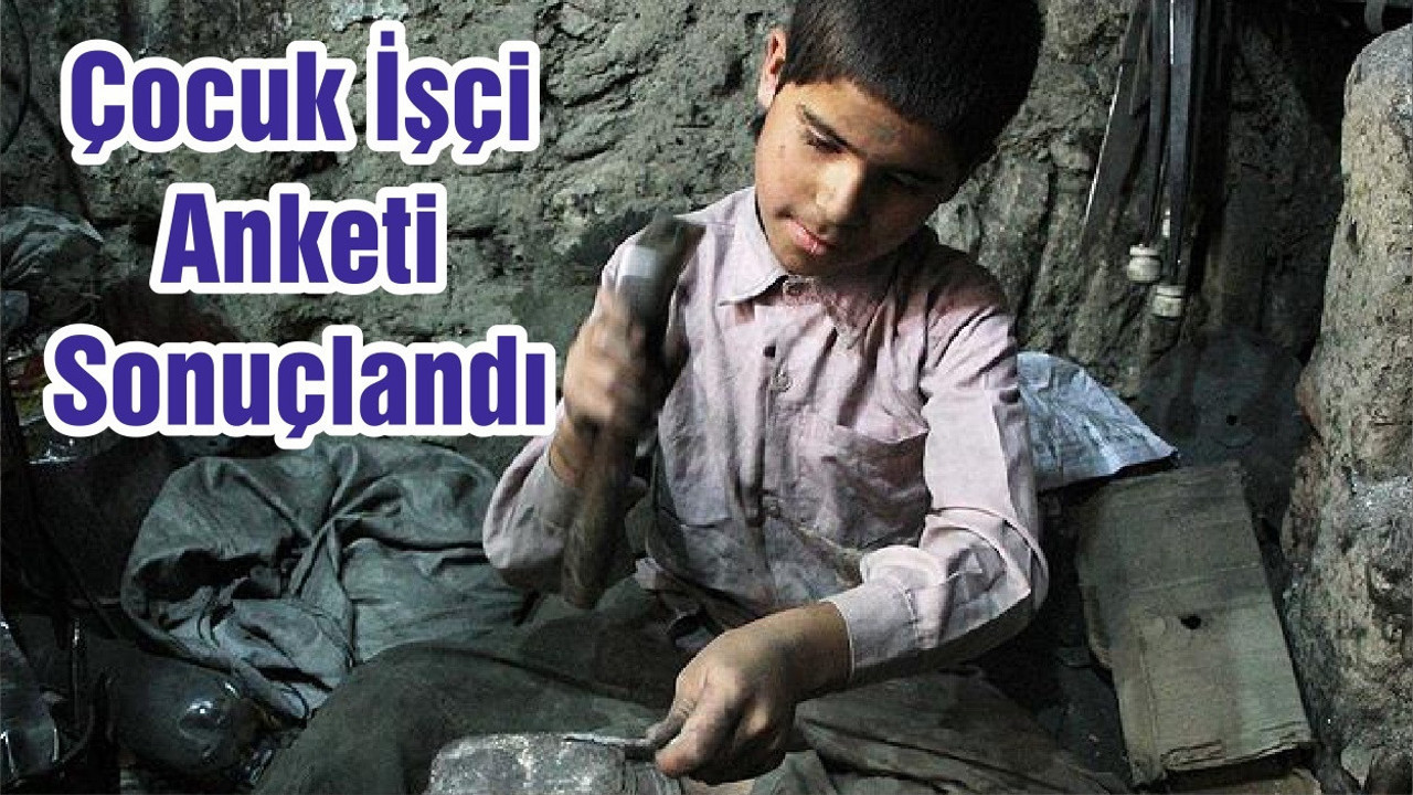 Çocuk İşçi Anketi Sonuçlandı