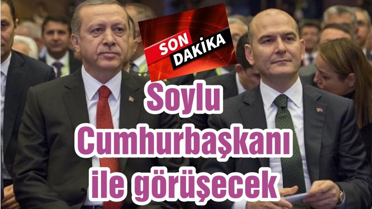 Soylu Cumhurbaşkanı ile görüşecek