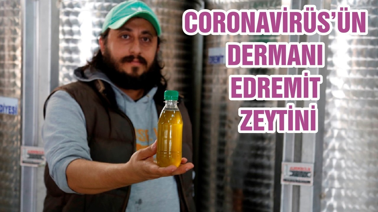 CORONAVİRÜS’ÜN DERMANI EDREMİT ZEYTİNİ