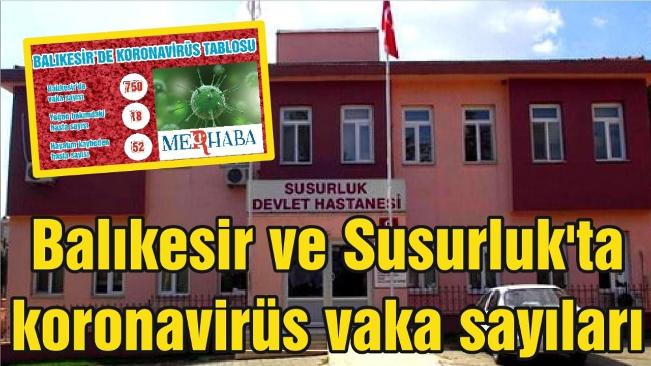 Balıkesir ve Susurluk'ta koronavirüs vaka sayıları