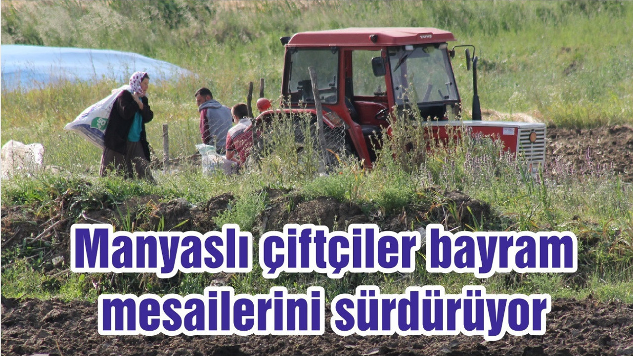 Manyaslı çiftçiler bayram mesailerini sürdürüyor