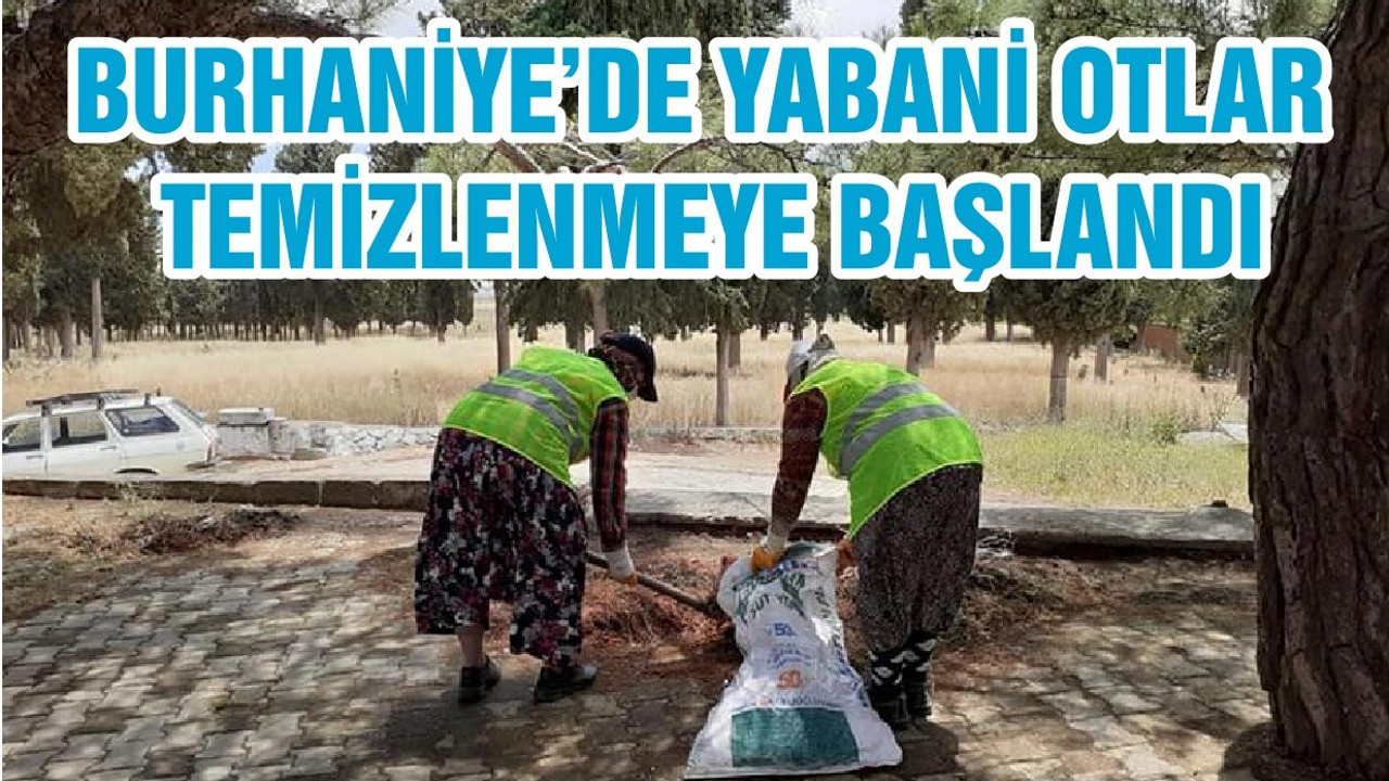 BURHANİYE’DE YABANİ OTLAR TEMİZLENMEYE BAŞLANDI